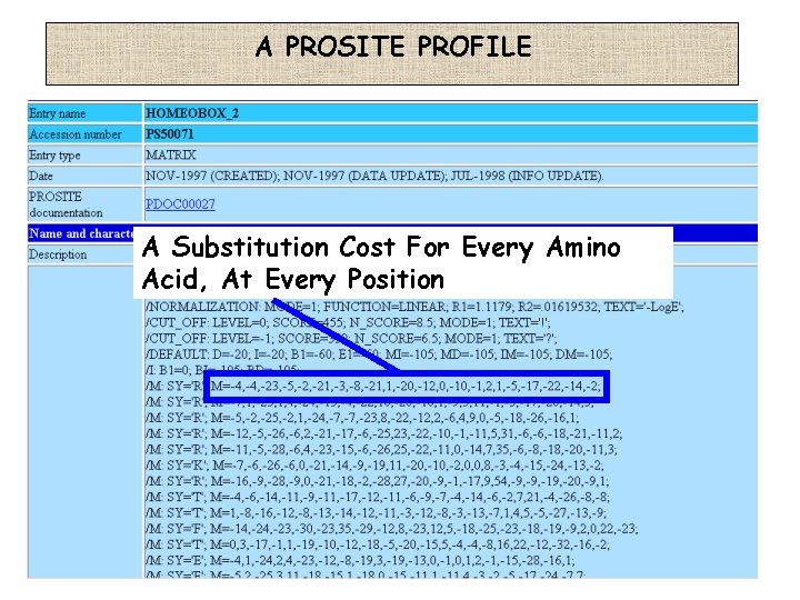 A PROSITE PROFILE A Substitution Cost For Every Amino Acid, At Every Position 
