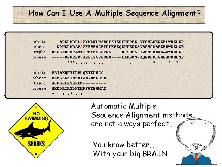 How Can I Use A Multiple Sequence Alignment? chite wheat trybr mouse ---ADKPKRPLSAYMLWLNSARESIKRENPDFK-VTEVAKKGGELWRGLKD --DPNKPKRAPSAFFVFMGEFREEFKQKNPKNKSVAAVGKAAGERWKSLSE