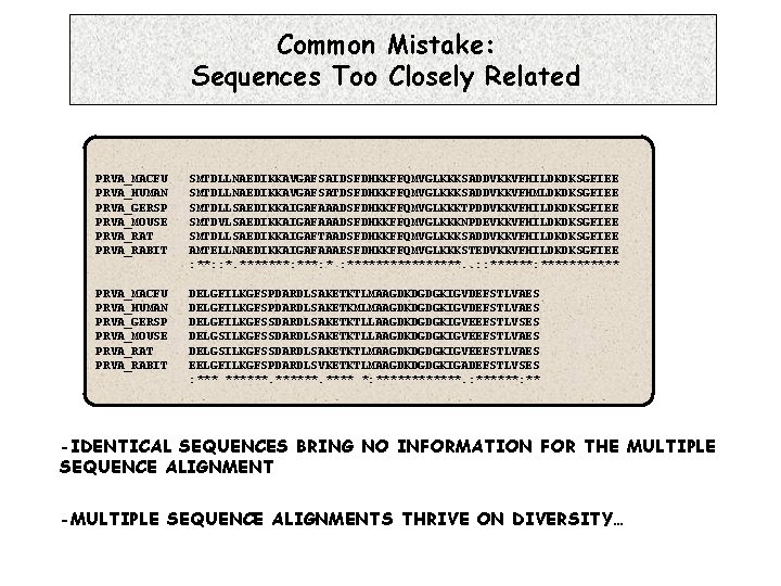 Common Mistake: Sequences Too Closely Related PRVA_MACFU PRVA_HUMAN PRVA_GERSP PRVA_MOUSE PRVA_RAT PRVA_RABIT SMTDLLNAEDIKKAVGAFSAIDSFDHKKFFQMVGLKKKSADDVKKVFHILDKDKSGFIEE SMTDLLNAEDIKKAVGAFSATDSFDHKKFFQMVGLKKKSADDVKKVFHMLDKDKSGFIEE