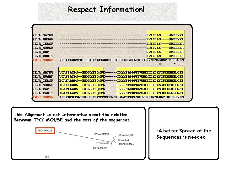 Respect Information! PRVA_MACFU PRVA_HUMAN PRVA_GERSP PRVA_MOUSE PRVA_RAT PRVA_RABIT TPCC_MOUSE ------------------------------------------SMTDLLN----AEDIKKA ---------------------SMTDLLS----AEDIKKA ---------------------SMTDVLS----AEDIKKA ---------------------SMTDLLS----AEDIKKA ---------------------AMTELLN----AEDIKKA