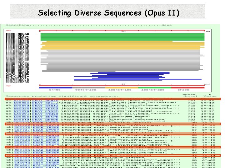 Selecting Diverse Sequences (Opus II) 
