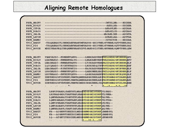 Aligning Remote Homologues PRVA_MACFU PRVA_ESOLU PRVB_CYPCA PRVB_BOACO PRV 1_SALSA PRVB_LATCH PRVB_RANES TPCS_RABIT TPCS_PIG TPCC_MOUSE