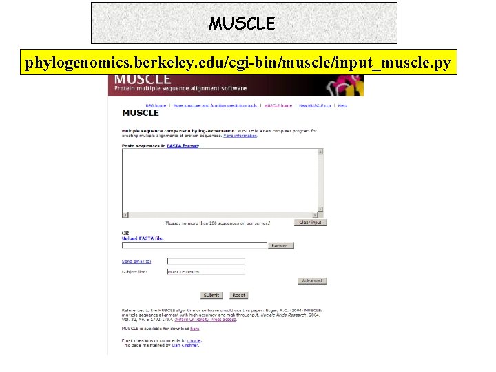 MUSCLE phylogenomics. berkeley. edu/cgi-bin/muscle/input_muscle. py 7. 16. 1 Progressive 