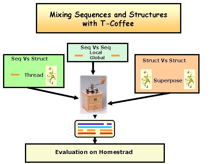 Mixing Sequences and Structures with T-Coffee Seq Vs Struct Local Global Thread Struct Vs