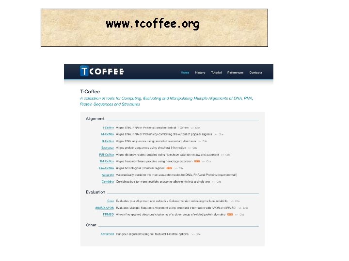 www. tcoffee. org 