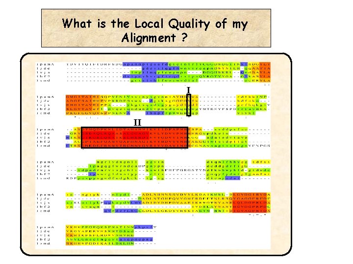 What is the Local Quality of my Alignment ? I II 
