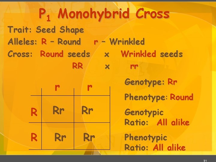P 1 Monohybrid Cross Trait: Seed Shape Alleles: R – Round r – Wrinkled P 1 Monohybrid Cross Trait: Seed Shape Alleles: R – Round r – Wrinkled