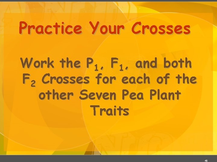 Practice Your Crosses Work the P 1, F 1, and both F 2 Crosses Practice Your Crosses Work the P 1, F 1, and both F 2 Crosses