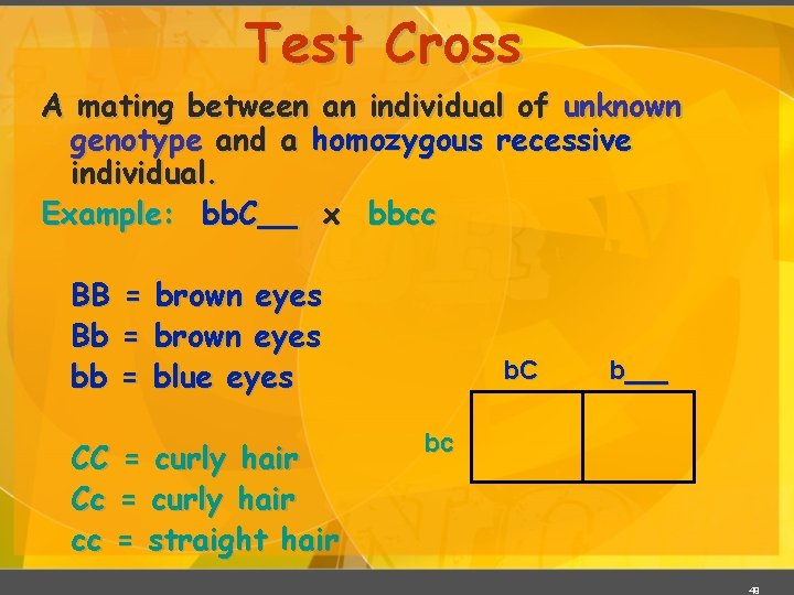 Test Cross A mating between an individual of unknown genotype and a homozygous recessive