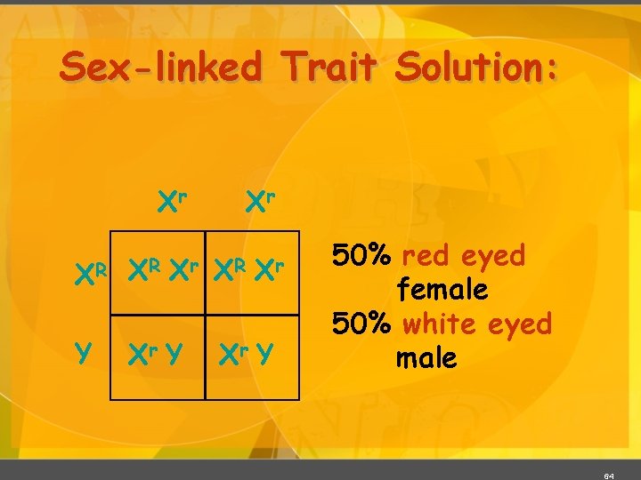 Sex-linked Trait Solution: Xr XR XR Xr Y Xr XR Xr Xr Y 50%