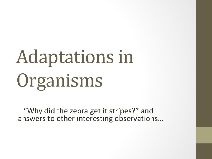 Adaptations in Organisms “Why did the zebra get it stripes? ” and answers to