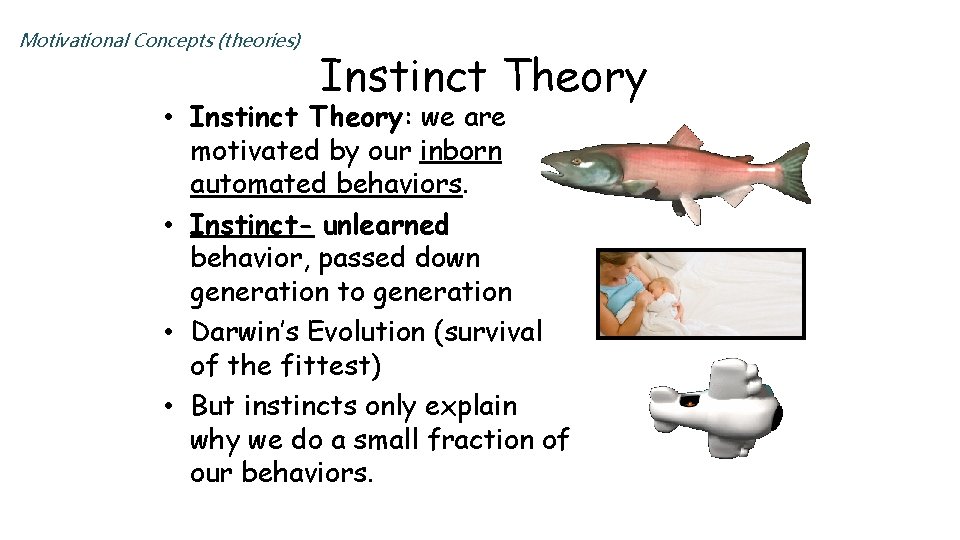 Motivational Concepts (theories) Instinct Theory • Instinct Theory: we are motivated by our inborn