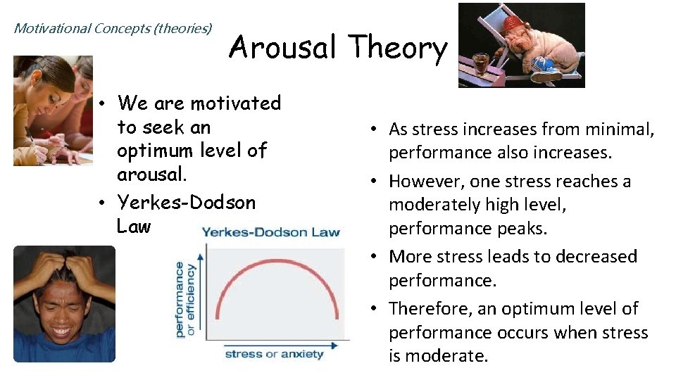 Motivational Concepts (theories) Arousal Theory • We are motivated to seek an optimum level