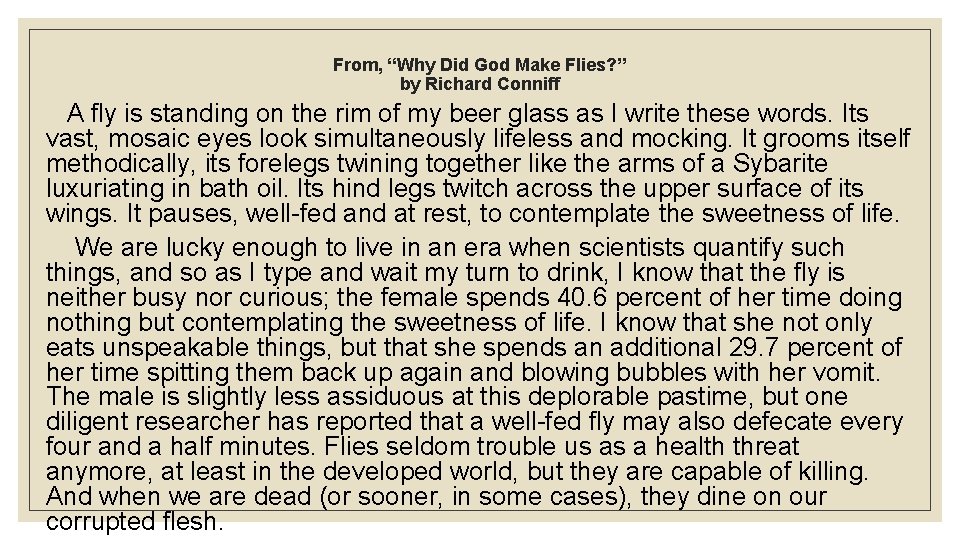 From, “Why Did God Make Flies? ” by Richard Conniff A fly is standing