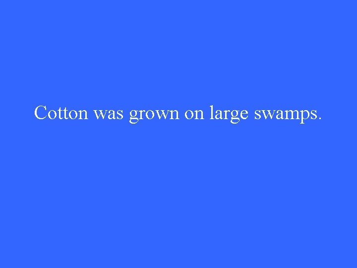 Cotton was grown on large swamps. 