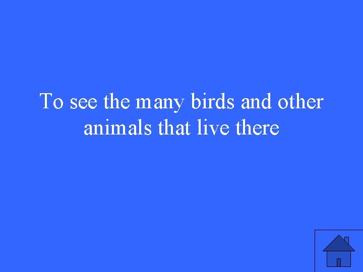 To see the many birds and other animals that live there 