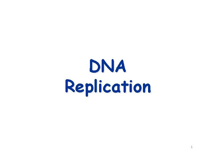 DNA Replication 1 