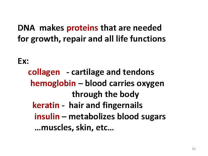 DNA makes proteins that are needed for growth, repair and all life functions Ex: