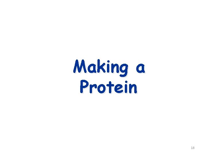 Making a Protein 18 