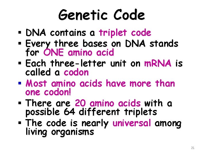 Genetic Code § DNA contains a triplet code § Every three bases on DNA