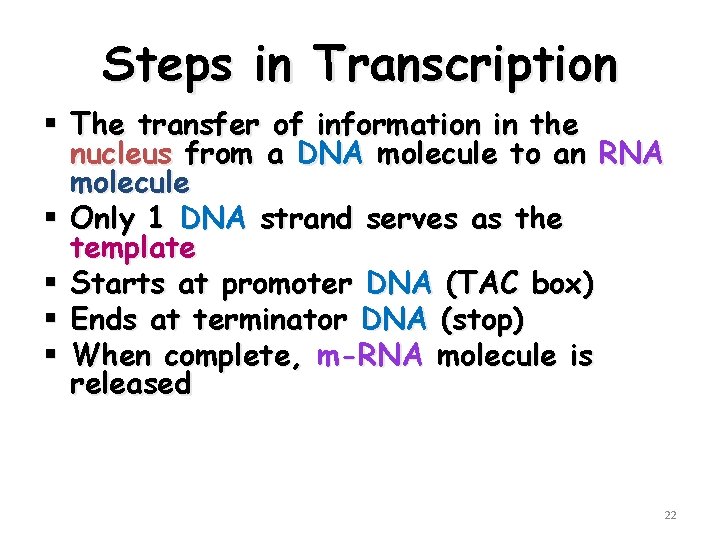 Steps in Transcription § The transfer of information in the nucleus from a DNA