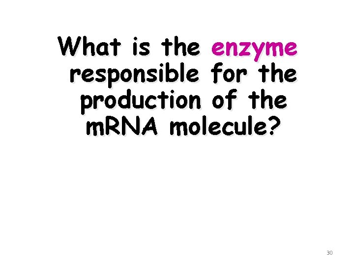 What is the enzyme responsible for the production of the m. RNA molecule? 30