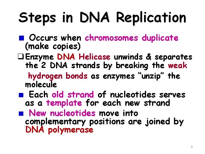 Steps in DNA Replication Occurs when chromosomes duplicate (make copies) q Enzyme DNA Helicase