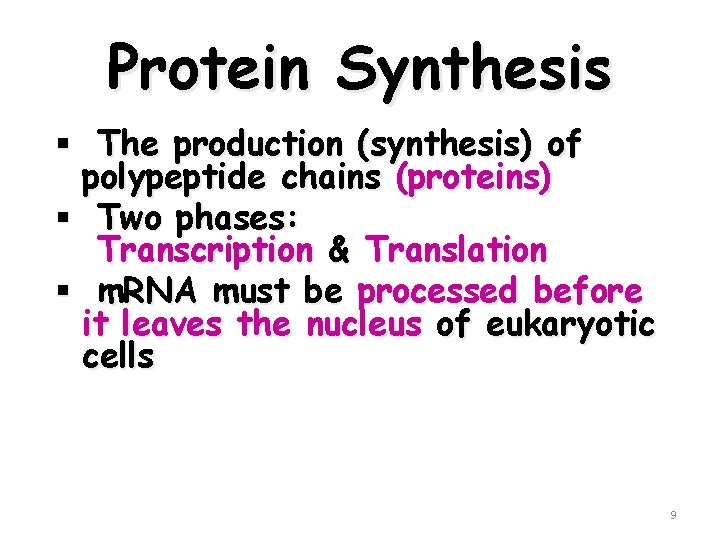 Protein Synthesis § The production (synthesis) of polypeptide chains (proteins) § Two phases: Transcription