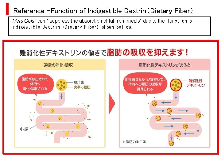 Reference –Function of Indigestible Dextrin（Dietary Fiber） “Mets Cola” can “ suppress the absorption of