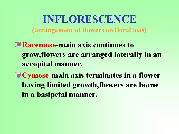 INFLORESCENCE (arrangement of flowers on floral axis) Racemose-main axis continues to grow, flowers are