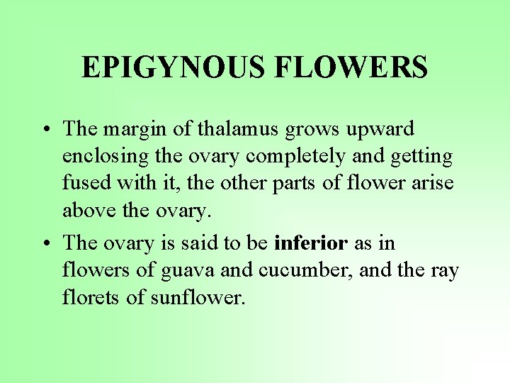 EPIGYNOUS FLOWERS • The margin of thalamus grows upward enclosing the ovary completely and