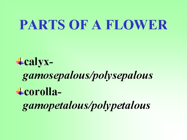 PARTS OF A FLOWER calyxgamosepalous/polysepalous corollagamopetalous/polypetalous 