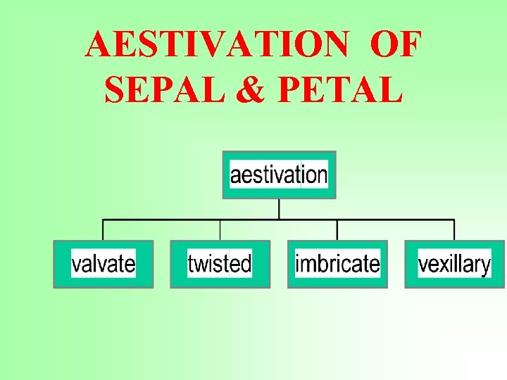 AESTIVATION OF SEPAL & PETAL 