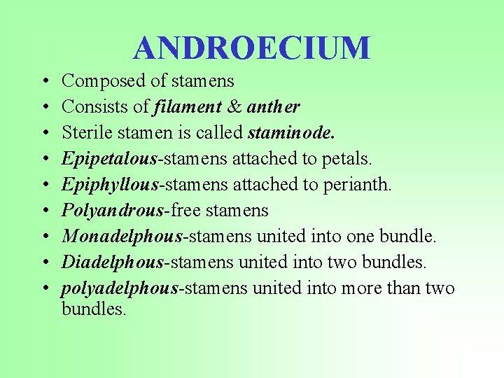 ANDROECIUM • • • Composed of stamens Consists of filament & anther Sterile stamen