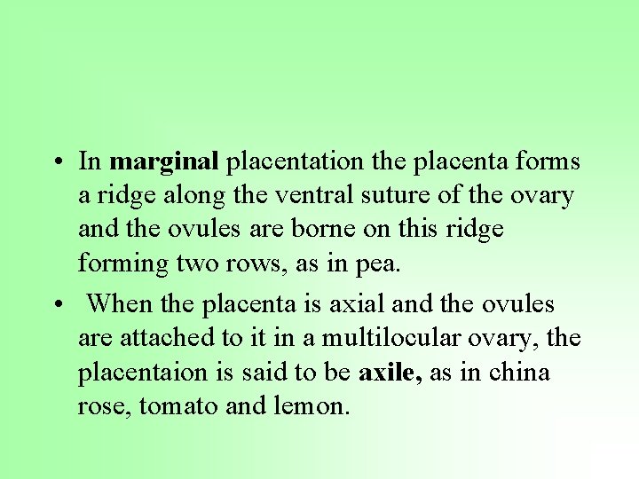  • In marginal placentation the placenta forms a ridge along the ventral suture