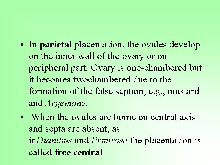  • In parietal placentation, the ovules develop on the inner wall of the