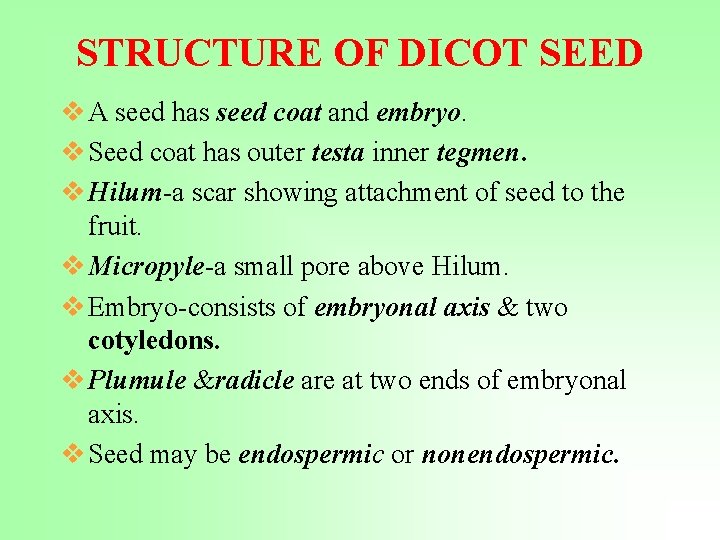 STRUCTURE OF DICOT SEED v A seed has seed coat and embryo. v Seed