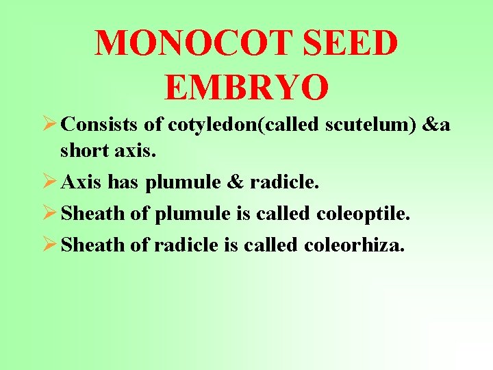 MONOCOT SEED EMBRYO Ø Consists of cotyledon(called scutelum) &a short axis. Ø Axis has