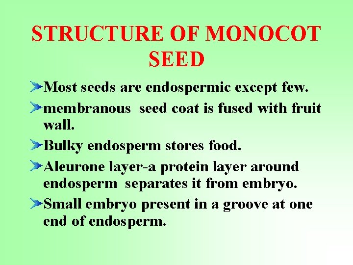 STRUCTURE OF MONOCOT SEED Most seeds are endospermic except few. membranous seed coat is