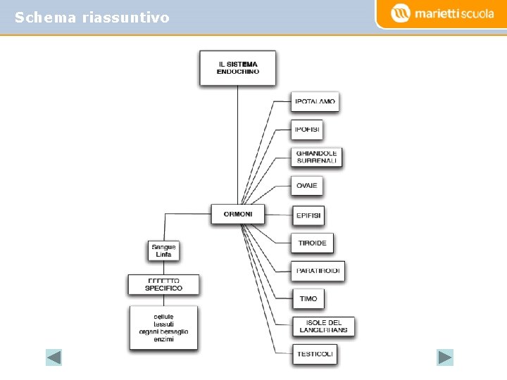 Schema riassuntivo 