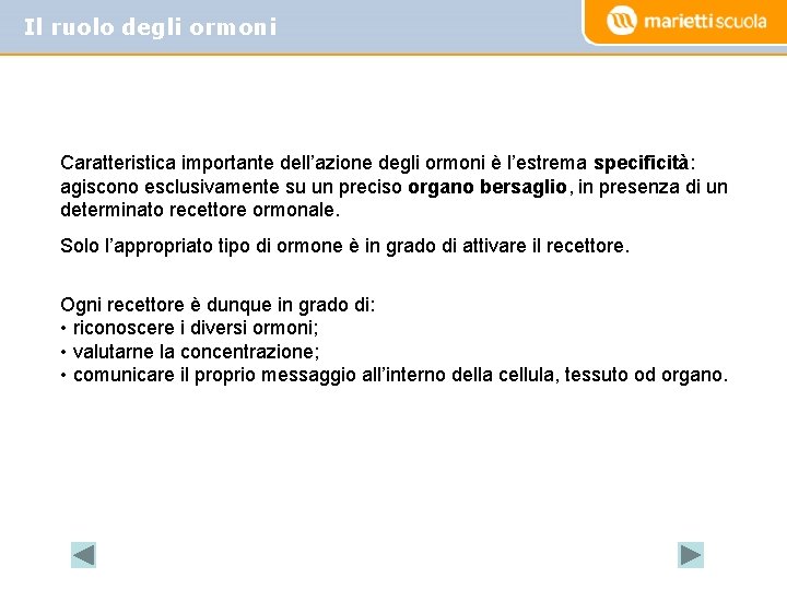 Il ruolo degli ormoni Caratteristica importante dell’azione degli ormoni è l’estrema specificità: agiscono esclusivamente
