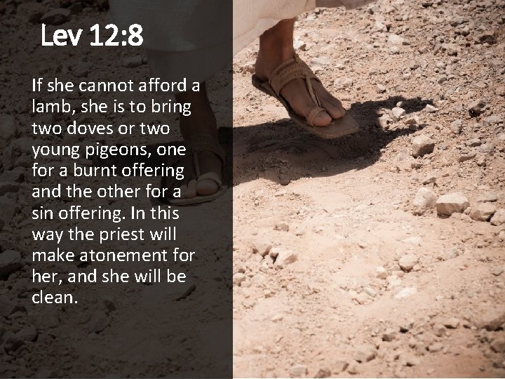 Lev 12: 8 If she cannot afford a lamb, she is to bring two