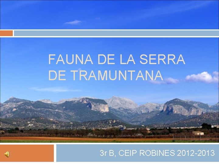 FAUNA DE LA SERRA DE TRAMUNTANA 3 r B, CEIP ROBINES 2012 -2013 