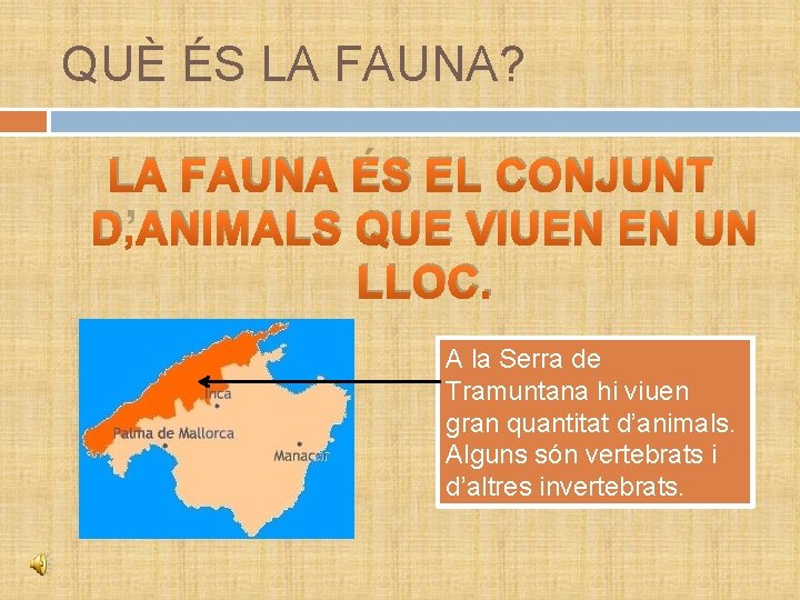 QUÈ ÉS LA FAUNA? LA FAUNA ÉS EL CONJUNT D’ANIMALS QUE VIUEN EN UN