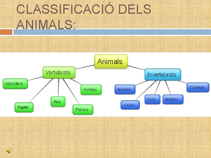 CLASSIFICACIÓ DELS ANIMALS: 