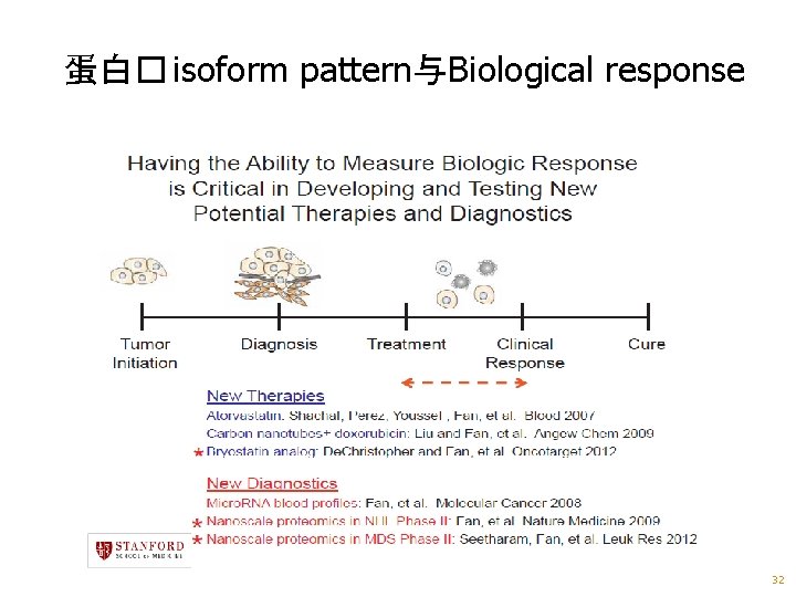 蛋白� isoform pattern与Biological response 32 
