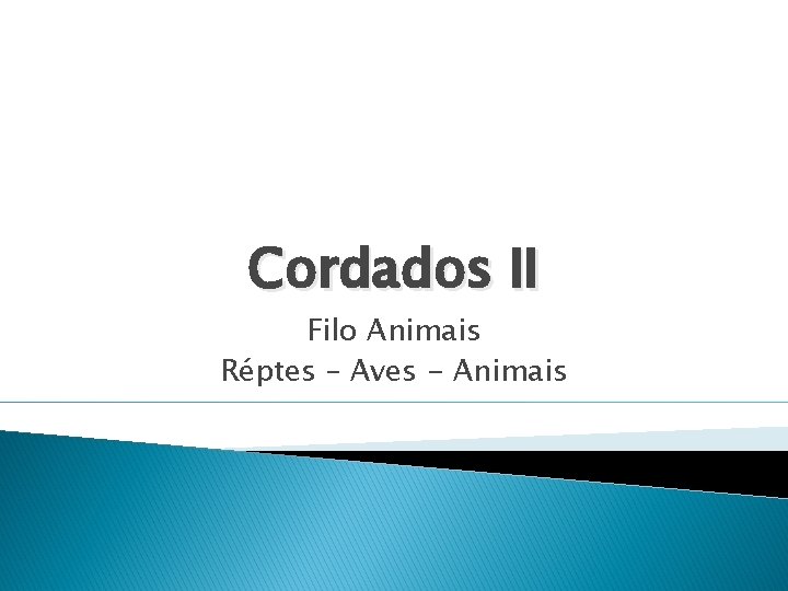 Cordados II Filo Animais Réptes – Aves - Animais 