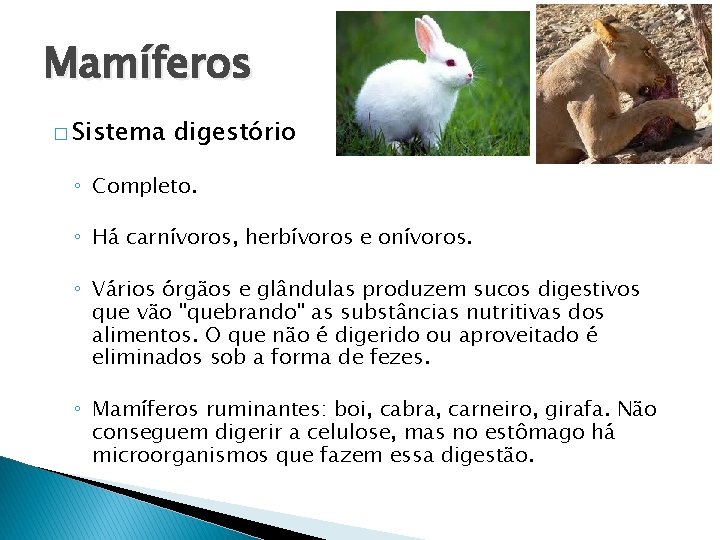 Mamíferos � Sistema digestório ◦ Completo. ◦ Há carnívoros, herbívoros e onívoros. ◦ Vários