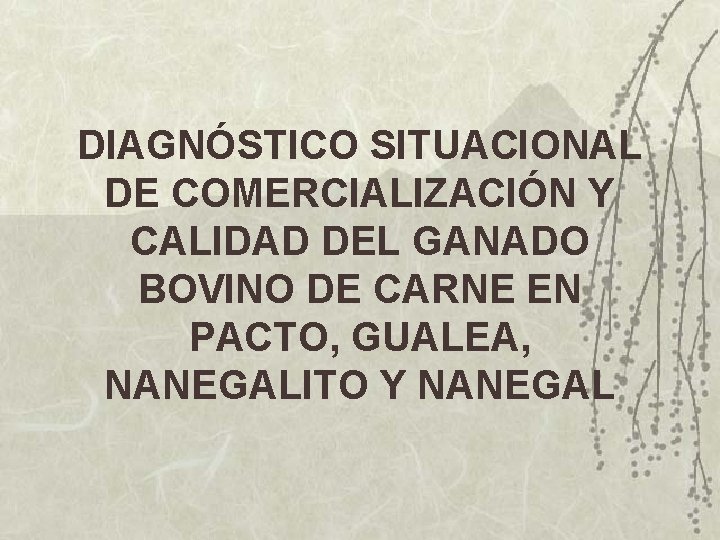 DIAGNÓSTICO SITUACIONAL DE COMERCIALIZACIÓN Y CALIDAD DEL GANADO BOVINO DE CARNE EN PACTO, GUALEA,