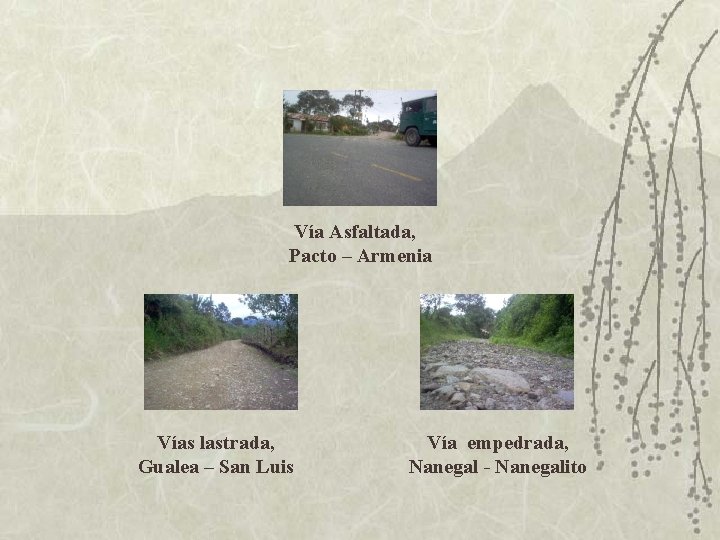 Vía Asfaltada, Pacto – Armenia Vías lastrada, Gualea – San Luis Vía empedrada, Nanegal